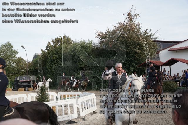 a_DSC06689.JPG